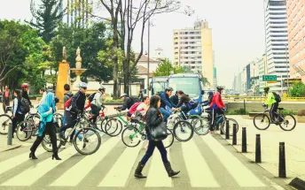 OMB Encuesta percepción riesgo vial 2019